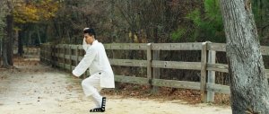 Taichi_1